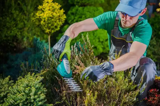 landscaping services Brecon